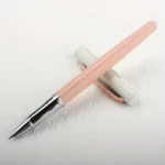 Stilou metalic lucios cu radiera