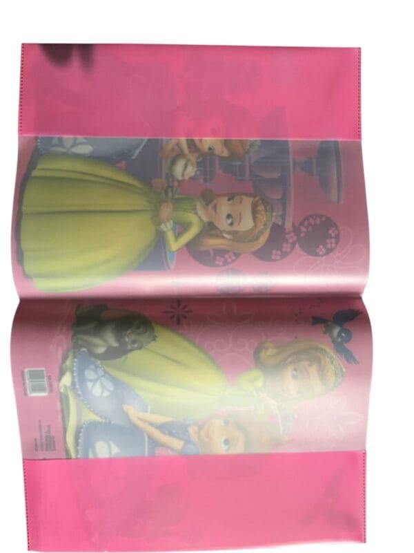 Coperta pentru carte speciala A2, frozen2